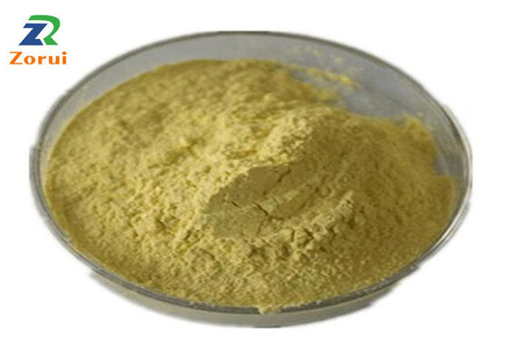 Ein guter Preis. Quercetin CAS 117-39-5 Sophora Japonica Extrakt Natürlicher Antioxidans für die Hautpflege Online