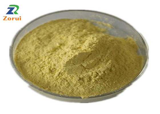 Ein guter Preis. Sophora Japonica-Auszug-Quercetin-Pulver-Masse für Hustenmittel-Lösemittel CAS 117-39-5 Online