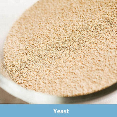 Ein guter Preis. Instant-Trockenhefe mit niedrigem Zuckergehalt, 500 g, vakuumverpackt für Brothefe, Bio-Pulver, Lebensmittelindustrie-Zusatzstoff Online