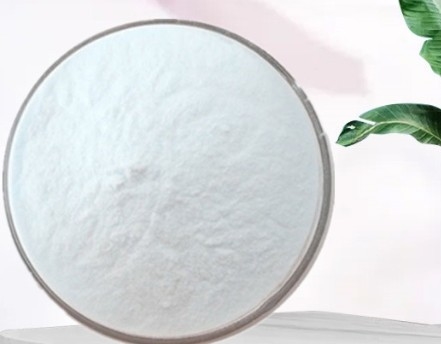 Ein guter Preis. Lebensmittelqualität Kokosnusspulver Kokosmilchpulver Kokosfettpulver Online
