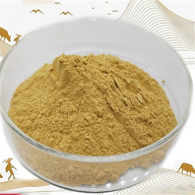 Ein guter Preis. CAS 90045-38-8 Ginseng-Extrakt Nahrungsergänzungsmittel Panax Ginseng-Wurzextrakt Online