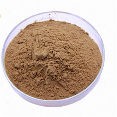 Ein guter Preis. Ginkgo Biloba-Extrakt CAS 90045-36-6 Kosmetik Antioxidans Flavonoid zur Hautpflege gegen Alterung Online