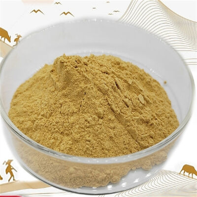 Ein guter Preis. Ashwagandha-Extrakt CAS 90147-43-6 Kosmetische Withanolide Adaptogen zur Hautpflege gegen Alterung Online