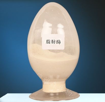 Ein guter Preis. Lipase-Enzym CAS 9001-62-1 für den Lipidstoffwechsel 99% Reinheit Online