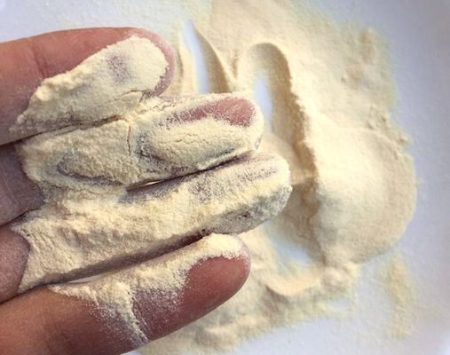 Ein guter Preis. CAS 73049-73-7 Wasserlösliches Protein-Hydrolysat Pepton für mikrobiologische Anwendungen Online