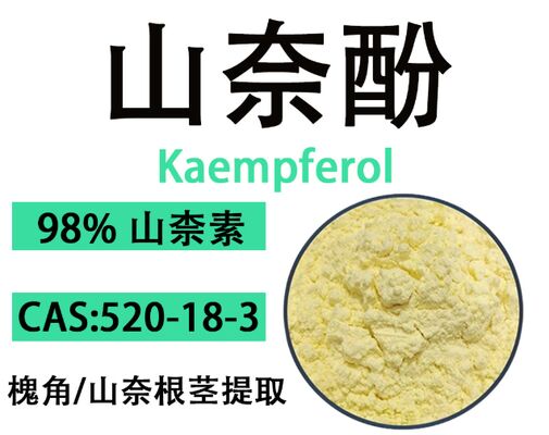 Ein guter Preis. CAS 520-18-3 Antioxidans- und Anti-Aging-Formulierungen 98 % gelbes kristallines Kaempferol-Pulver Online