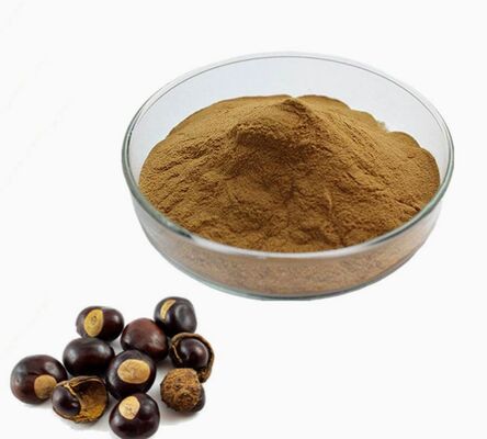 Ein guter Preis. CAS 8053-39-2 Aesculus Hippocastanum-Samenextrakt Anti-Aging-Kosmetik Rosskastanienextrakt Online
