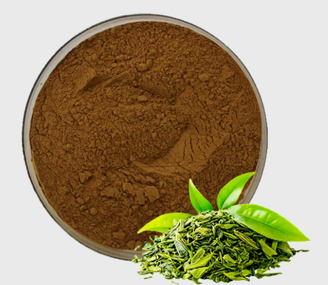 Ein guter Preis. EGCG-Extrakt aus grünem Tee mit hoher Reinheit Natürliches Antioxidans Kosmetische Qualität Tee-Polyphenolpulver Online